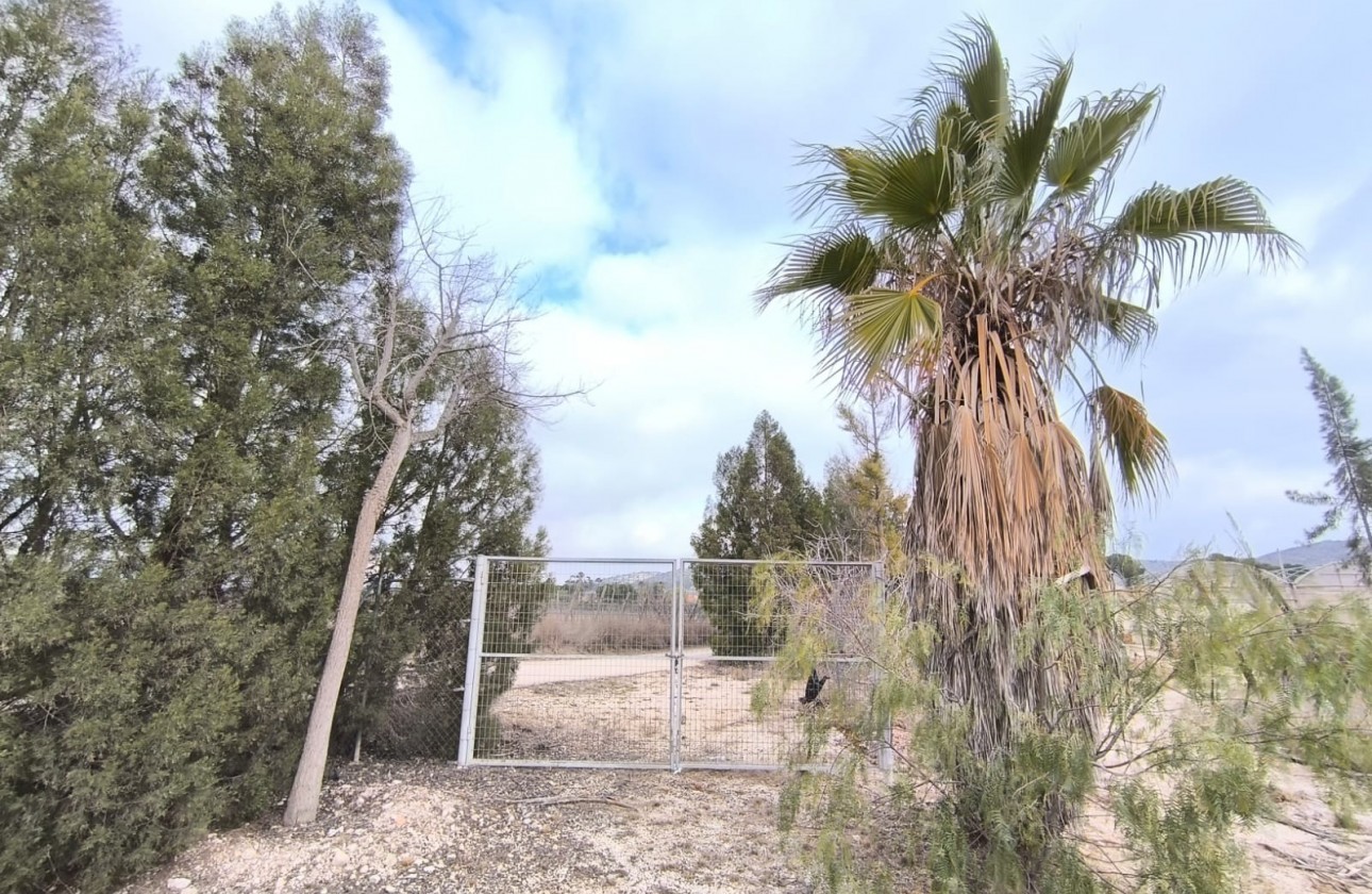 Reventa - Comercial - Aspe - Inland