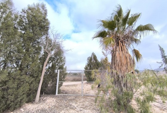 Reventa - Comercial - Aspe - Inland