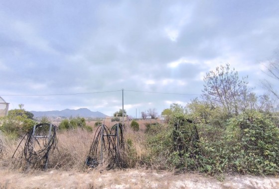 Reventa - Comercial - Aspe - Inland