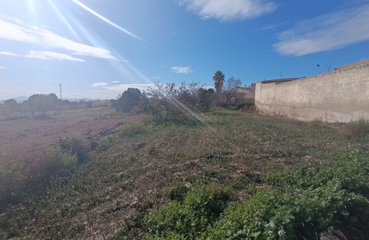 Revente - Villa - Raspay - Inland