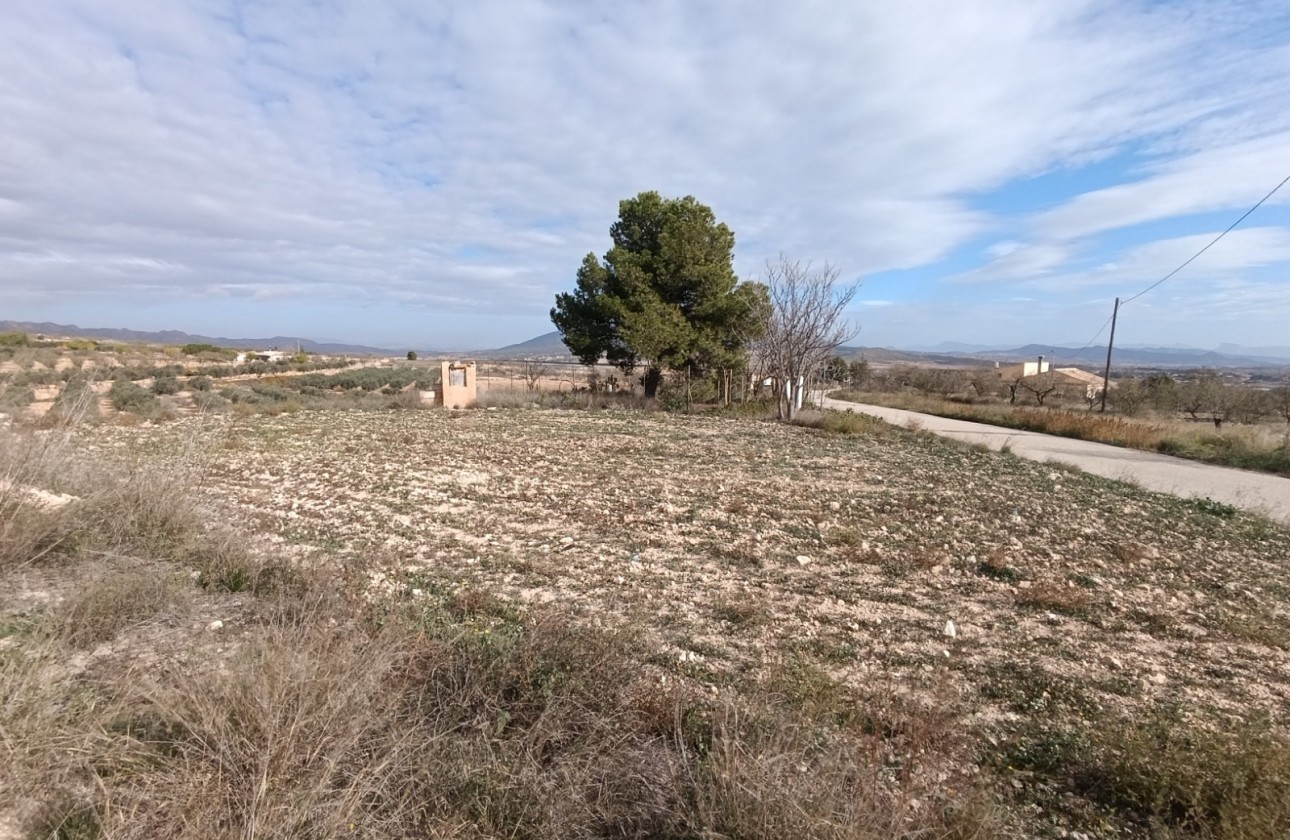 Revente - Villa - Raspay - Inland