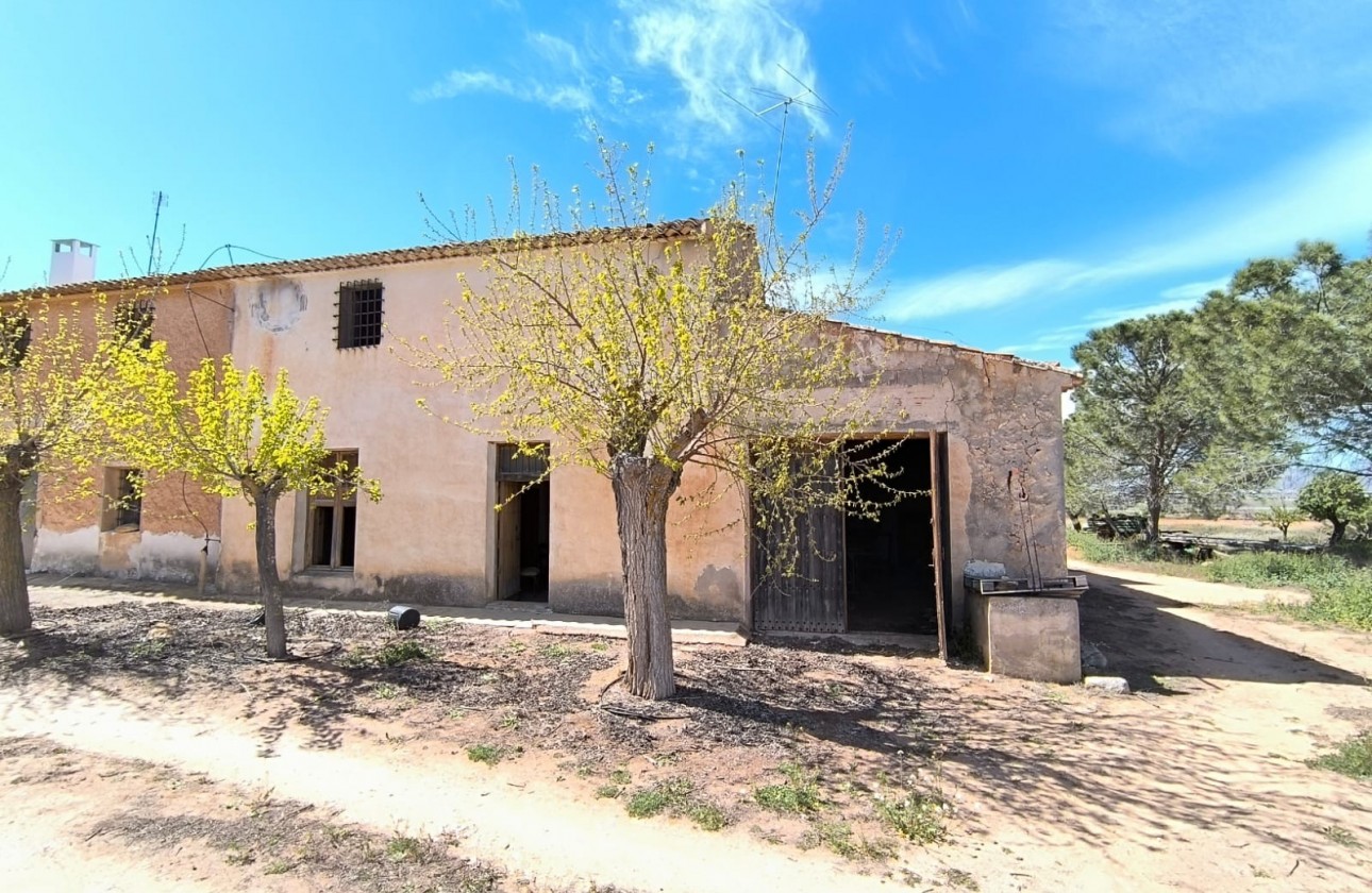 Reventa - Property - Yecla - Inland
