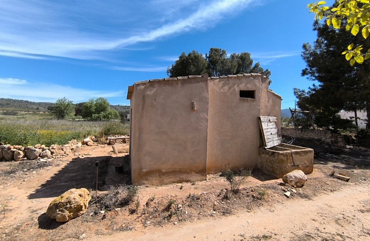 Reventa - Property - Yecla - Inland