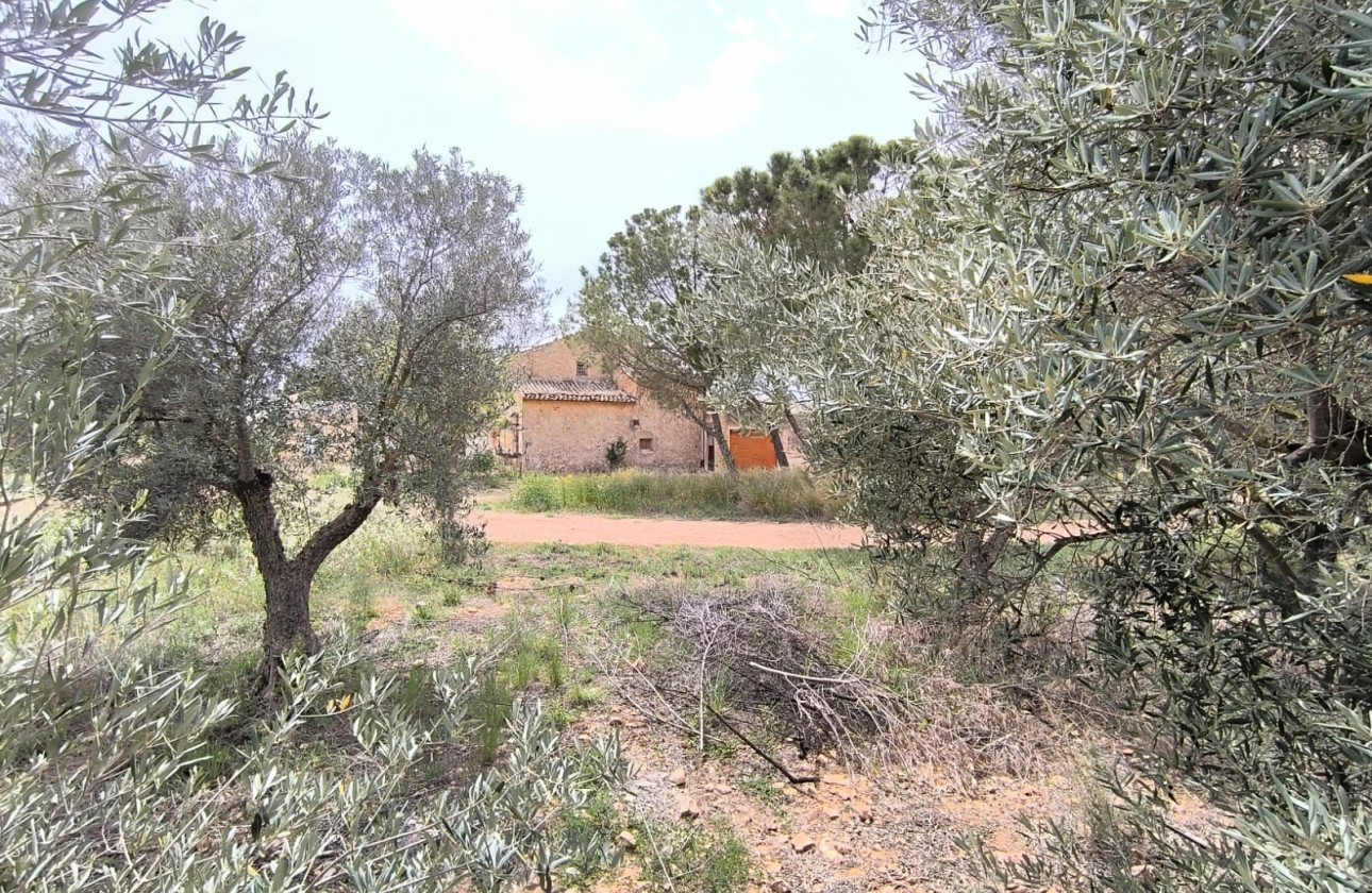 Reventa - Property - Yecla - Inland