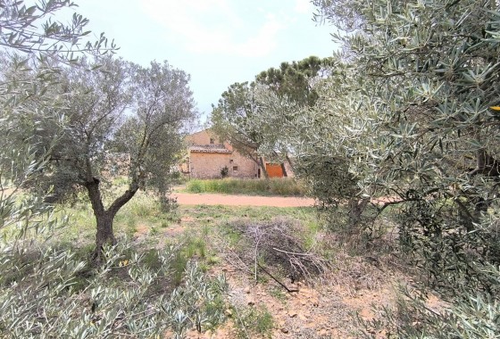 Reventa - Property - Yecla - Inland