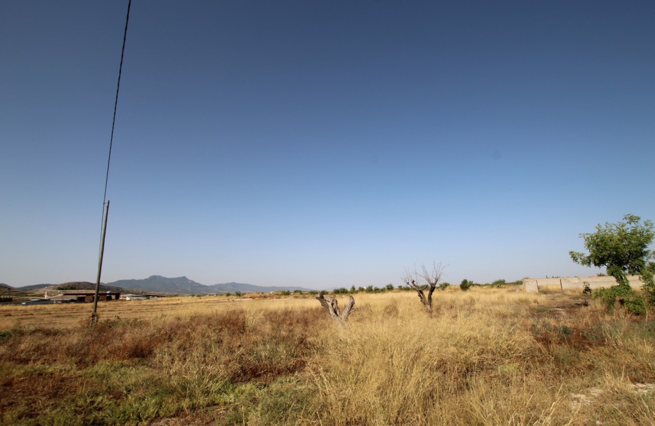 Revente - Property - Torre Del Rico - Inland