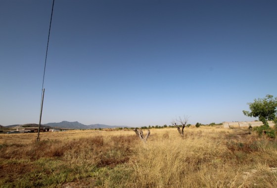 Revente - Property - Torre Del Rico - Inland
