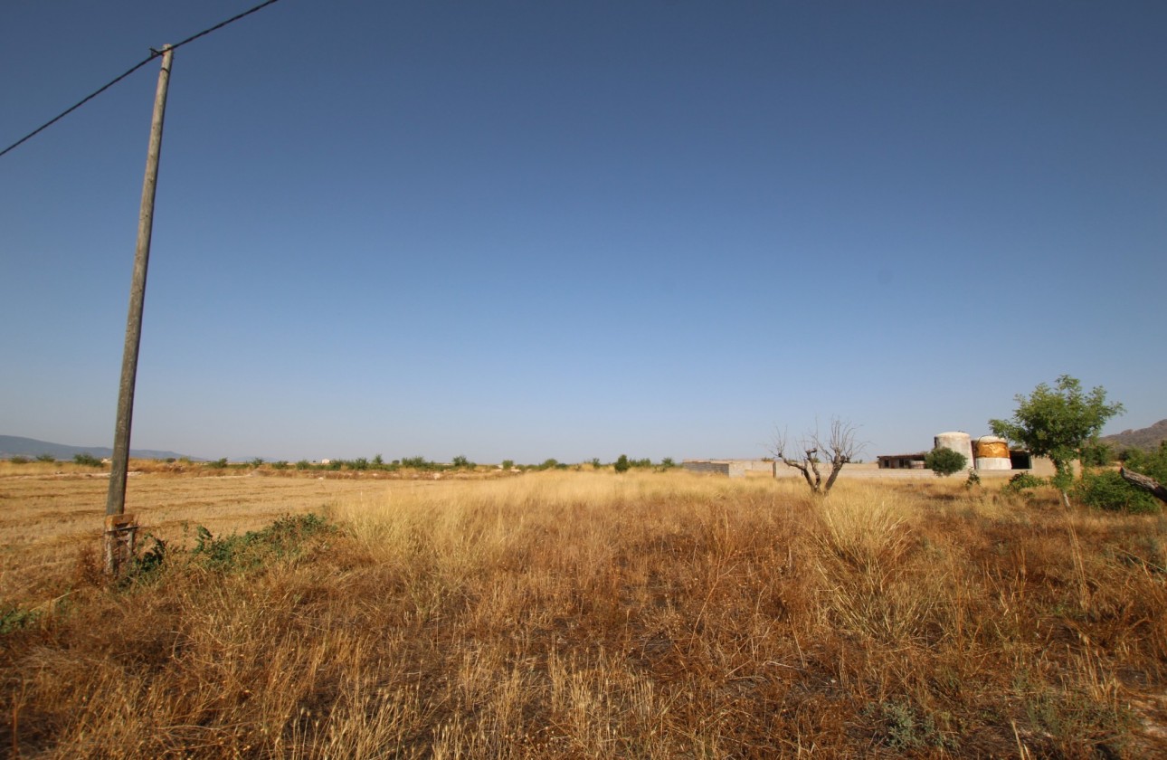 Revente - Property - Torre Del Rico - Inland