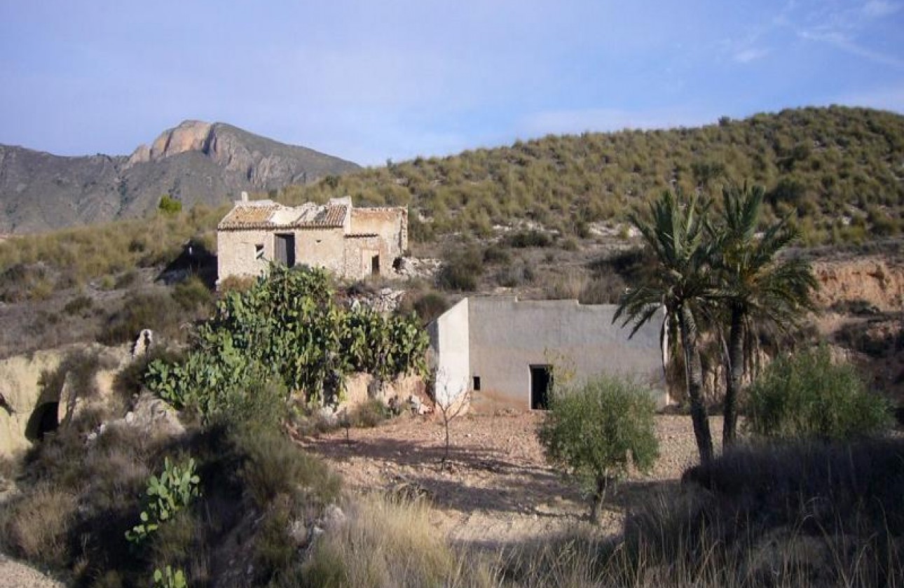 Reventa - Other - Macisvenda - Inland