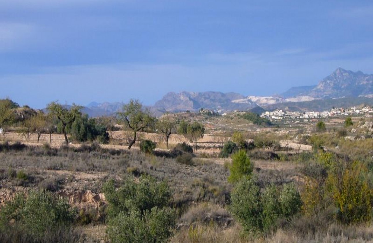 Reventa - Other - Macisvenda - Inland