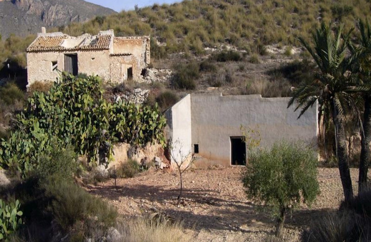 Reventa - Other - Macisvenda - Inland