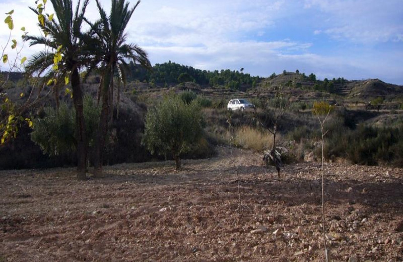 Reventa - Other - Macisvenda - Inland
