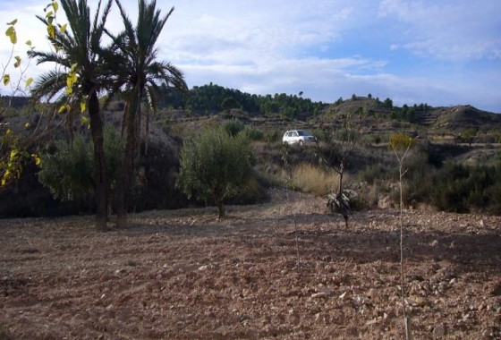 Reventa - Other - Macisvenda - Inland