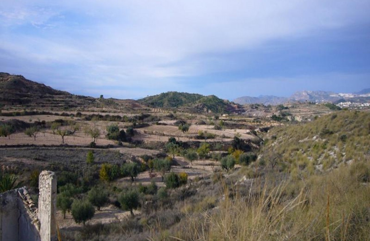 Reventa - Other - Macisvenda - Inland