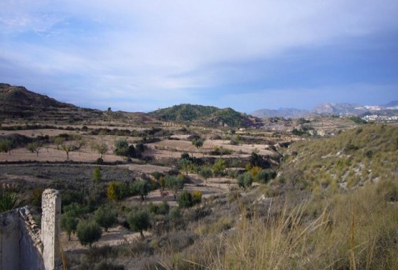 Reventa - Other - Macisvenda - Inland