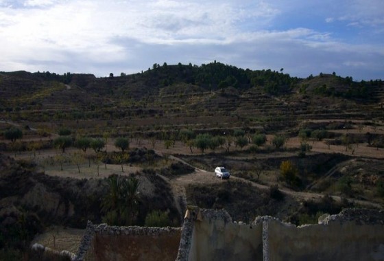 Reventa - Other - Macisvenda - Inland