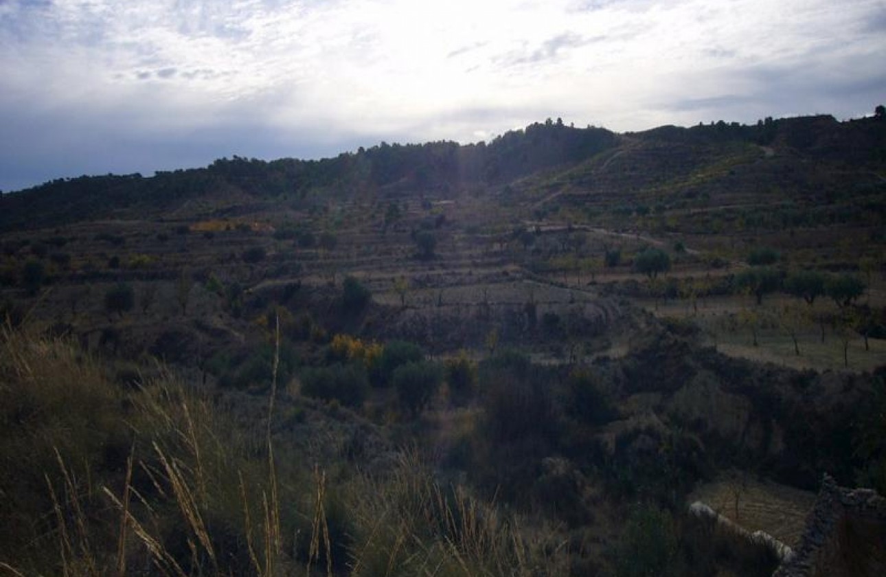 Reventa - Other - Macisvenda - Inland