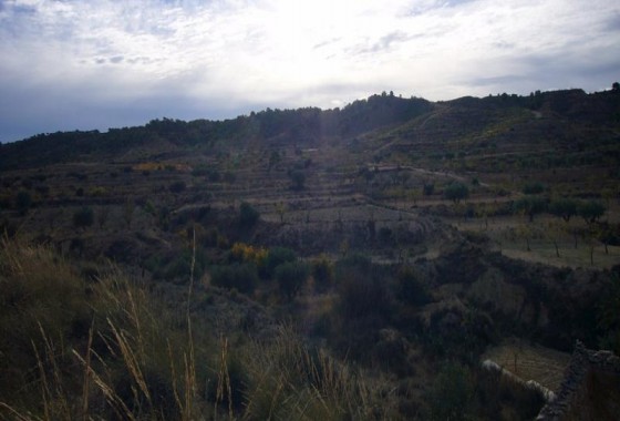 Reventa - Other - Macisvenda - Inland