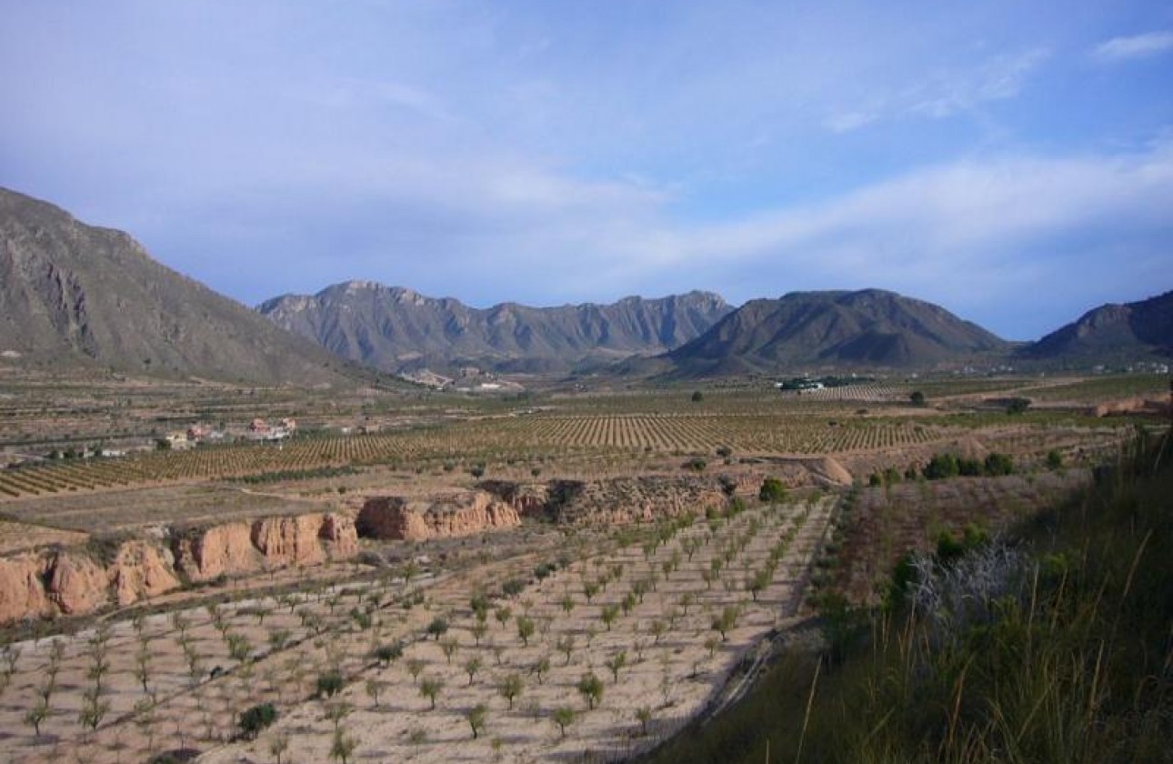 Reventa - Other - Macisvenda - Inland