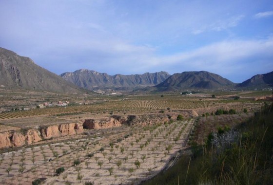 Reventa - Other - Macisvenda - Inland