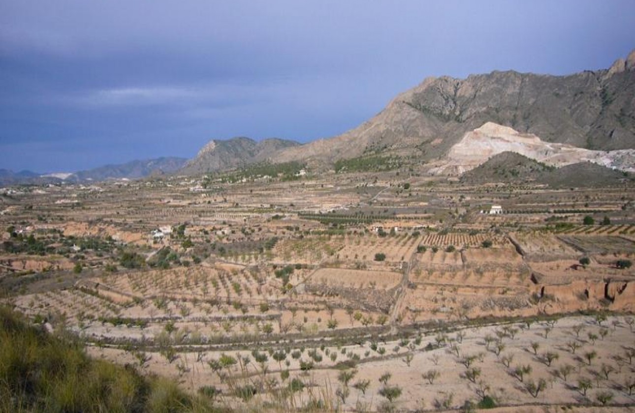 Reventa - Other - Macisvenda - Inland