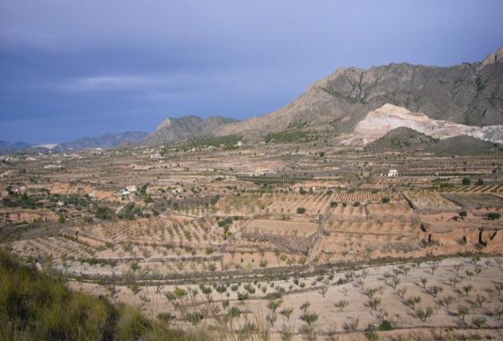 Reventa - Other - Macisvenda - Inland
