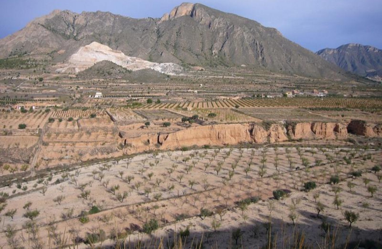 Reventa - Other - Macisvenda - Inland