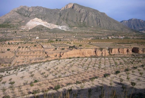 Reventa - Other - Macisvenda - Inland