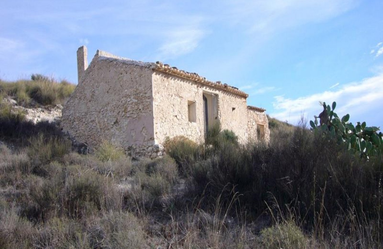 Reventa - Other - Macisvenda - Inland