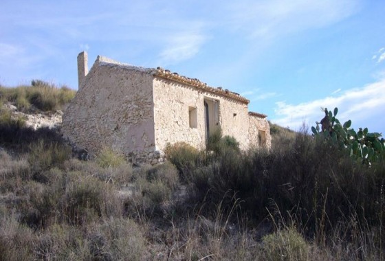 Reventa - Other - Macisvenda - Inland