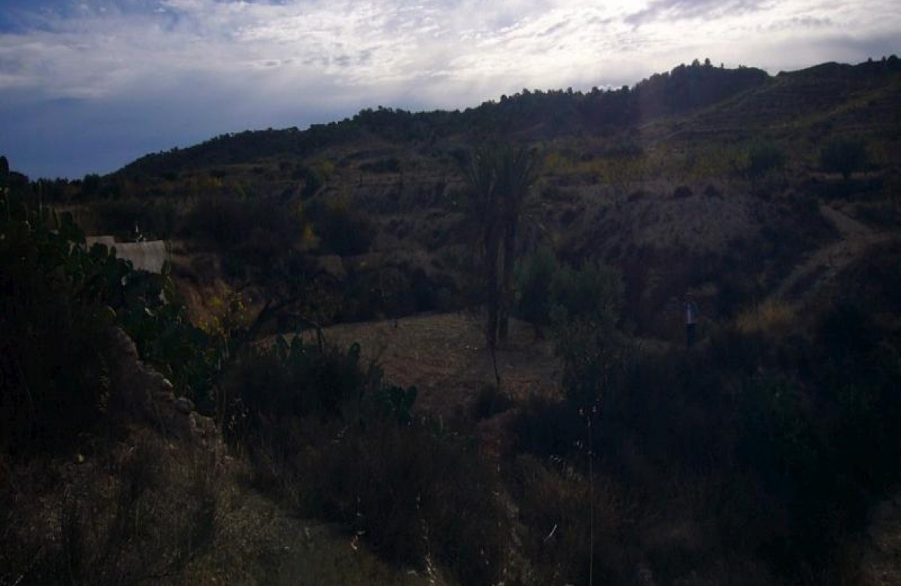 Reventa - Other - Macisvenda - Inland