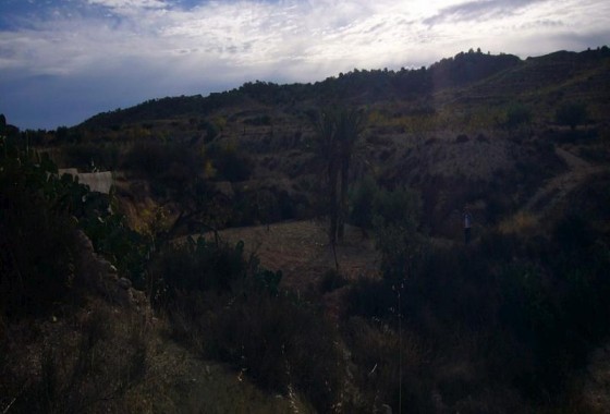 Reventa - Other - Macisvenda - Inland