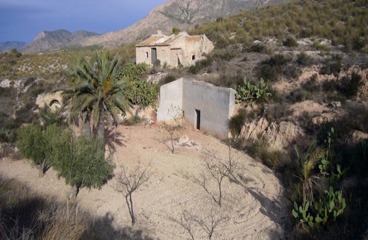 Reventa - Other - Macisvenda - Inland