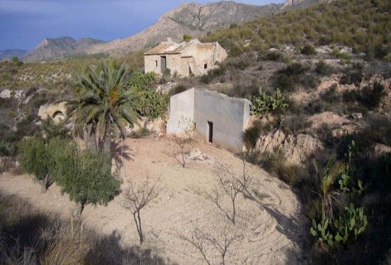 Reventa - Other - Macisvenda - Inland