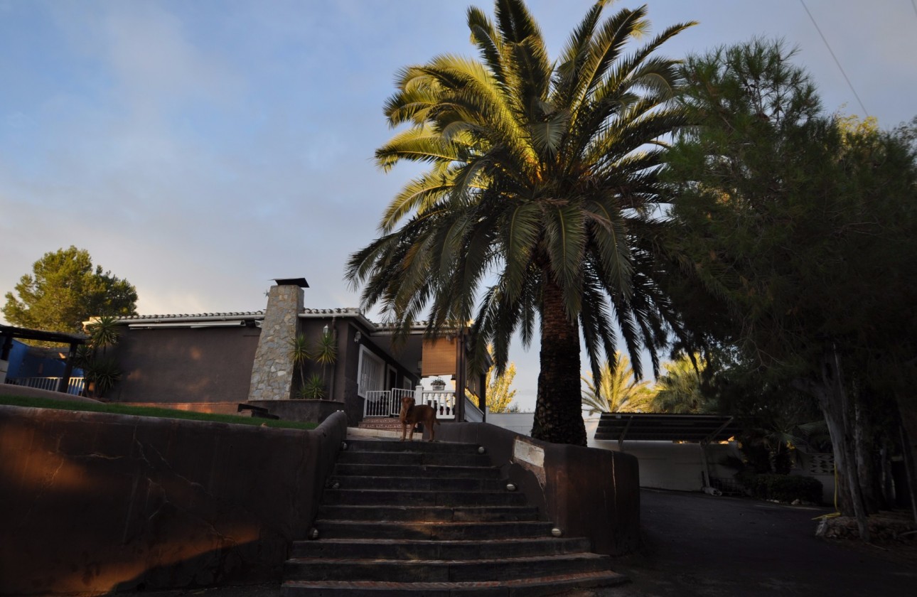 Revente - Villa - Monóvar/Monóver - Inland