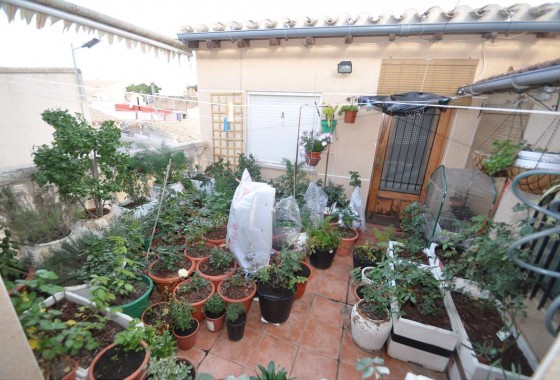 Revente - Villa - Pinoso - Inland
