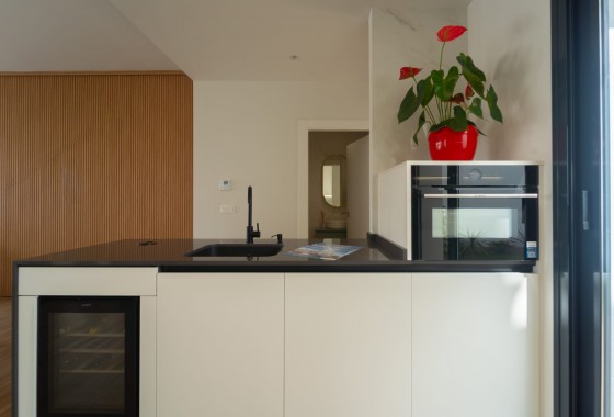 Nouvelle construction - Villa - San Pedro del Pinatar