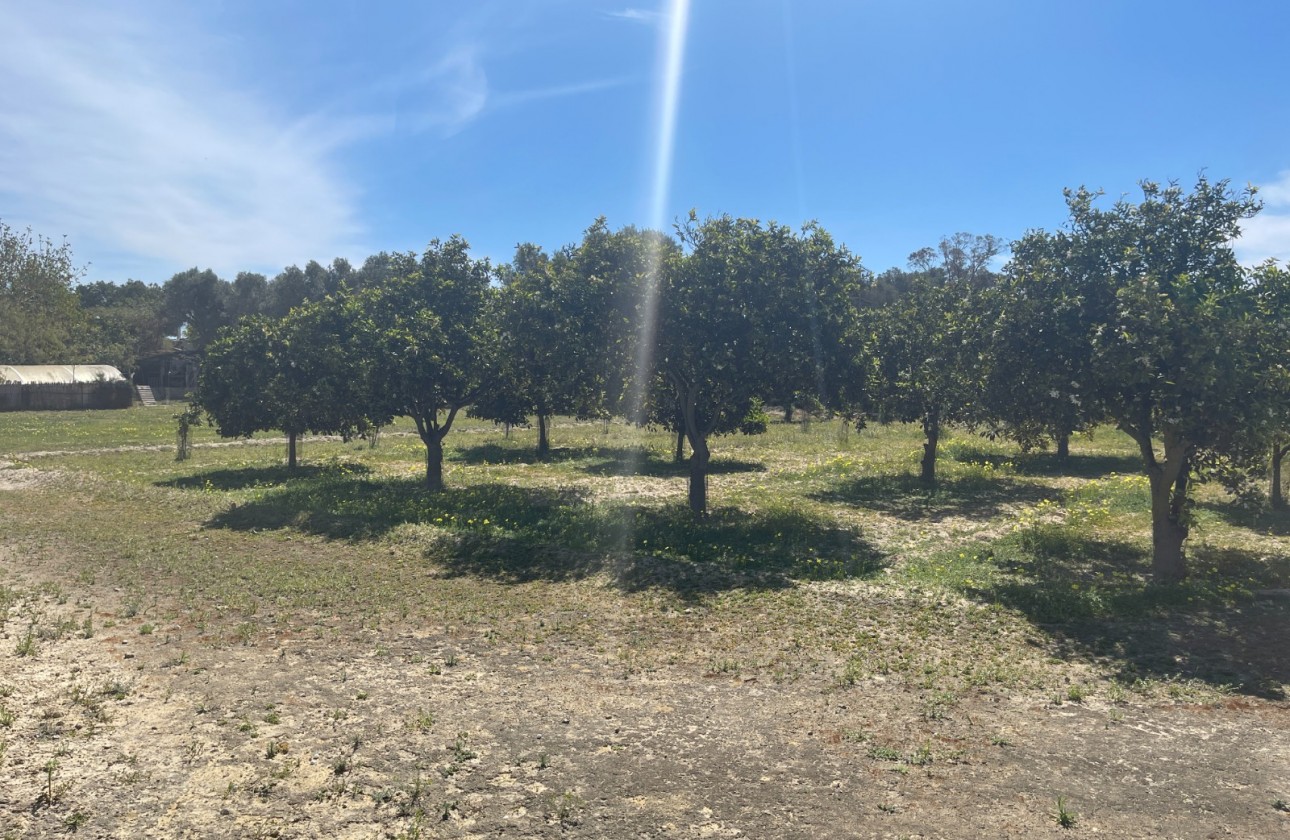 Revente - Villa - Guardamar del Segura - Valencian Community