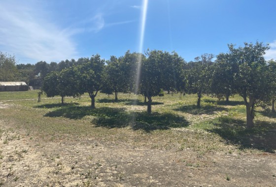 Revente - Villa - Guardamar del Segura - Valencian Community