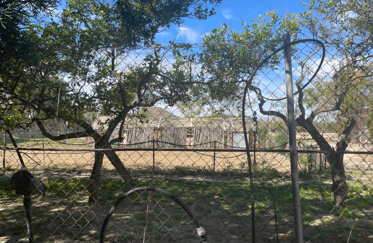 Revente - Villa - Guardamar del Segura - Valencian Community