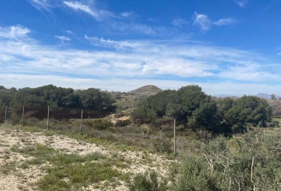 Revente - Villa - Guardamar del Segura - Valencian Community