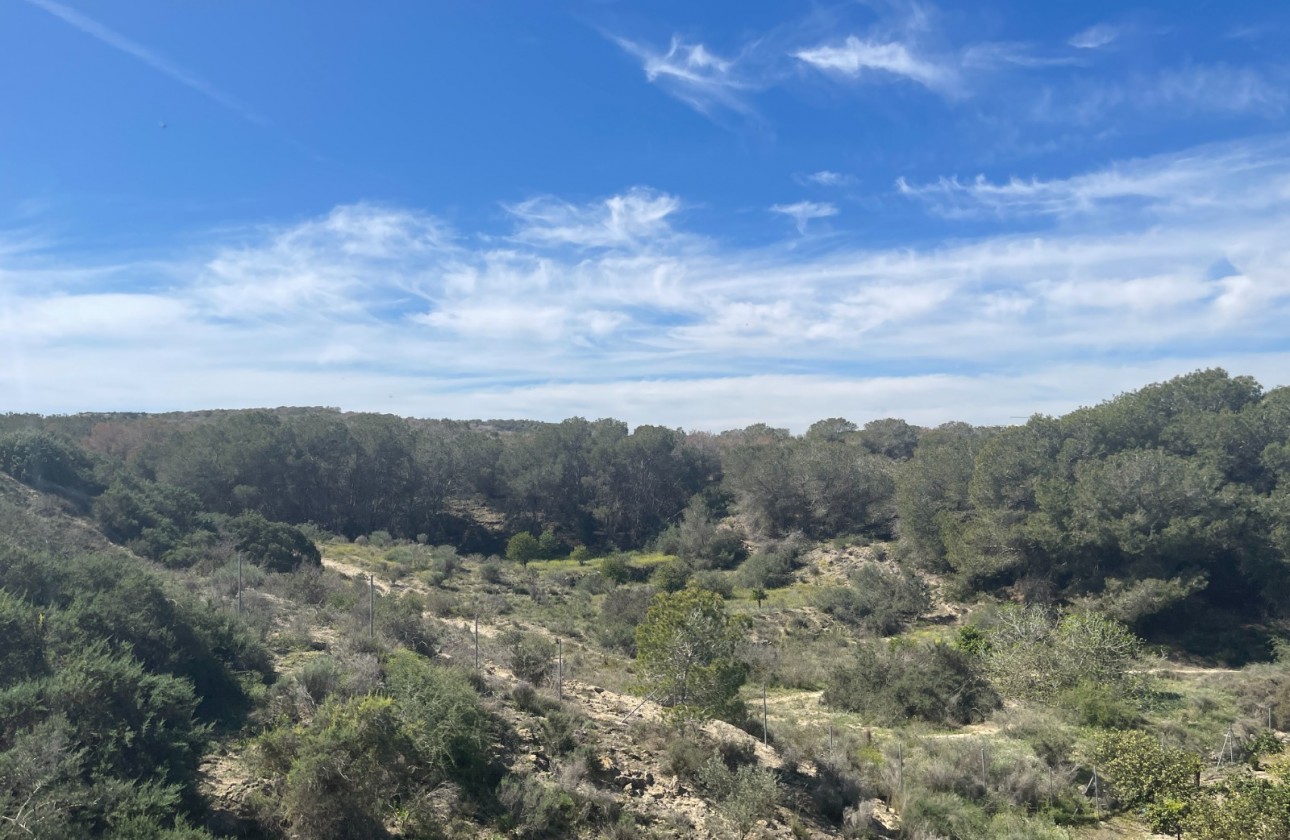 Revente - Villa - Guardamar del Segura - Valencian Community