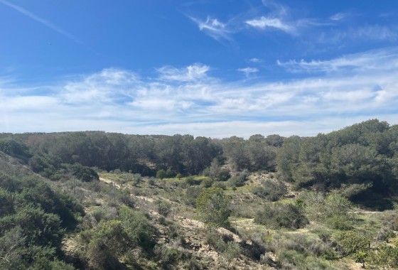 Revente - Villa - Guardamar del Segura - Valencian Community