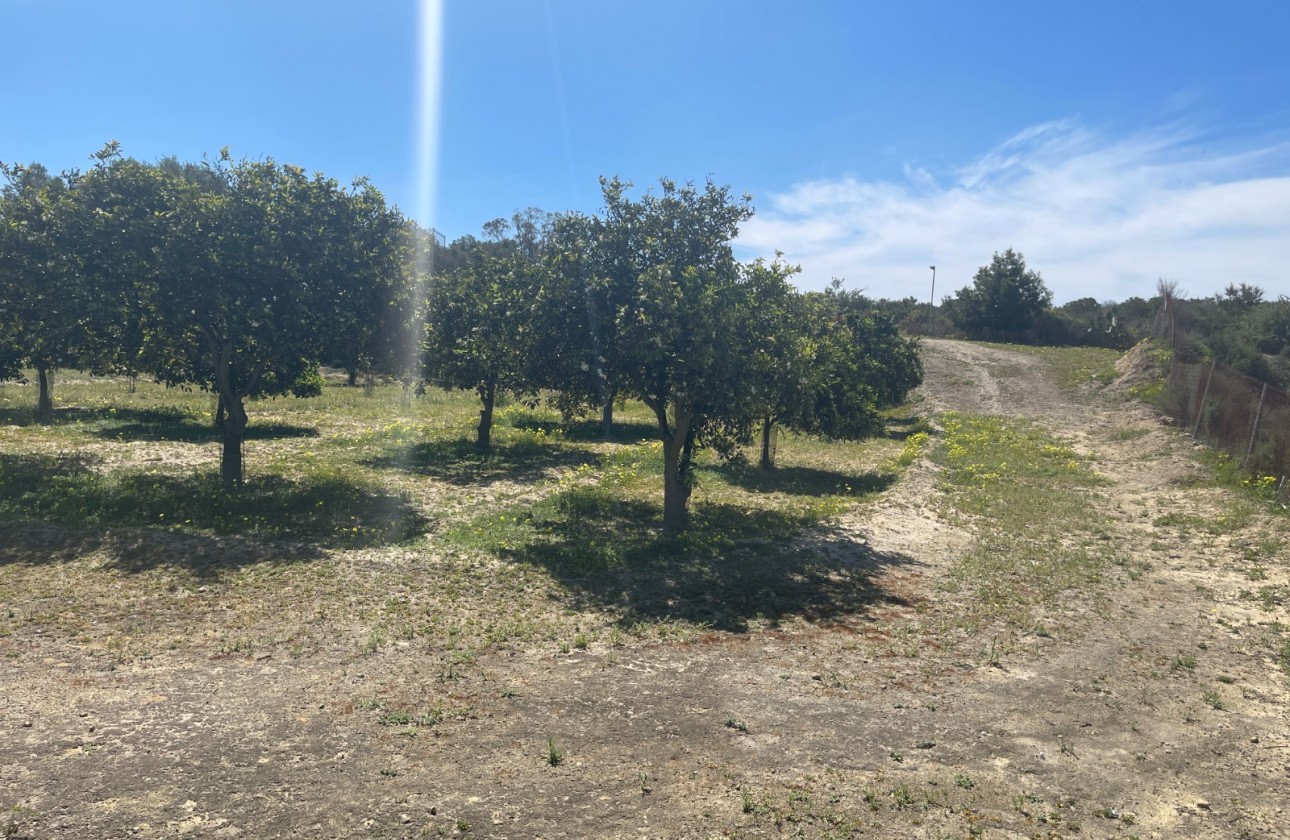 Revente - Villa - Guardamar del Segura - Valencian Community