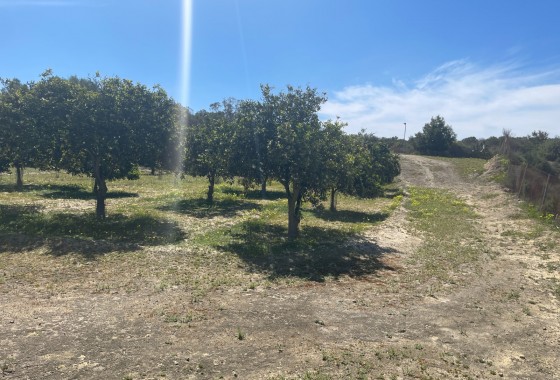 Revente - Villa - Guardamar del Segura - Valencian Community