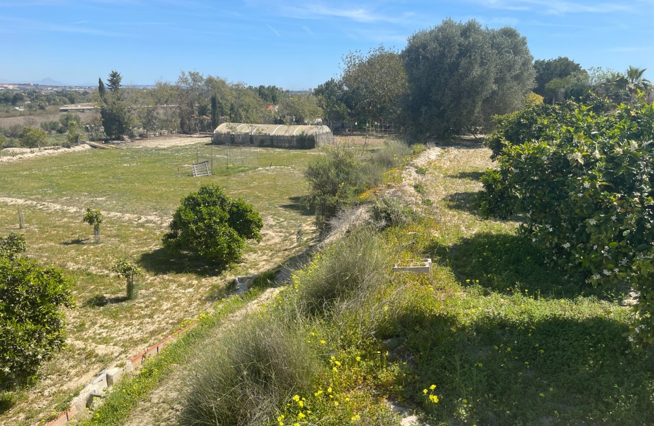 Revente - Villa - Guardamar del Segura - Valencian Community
