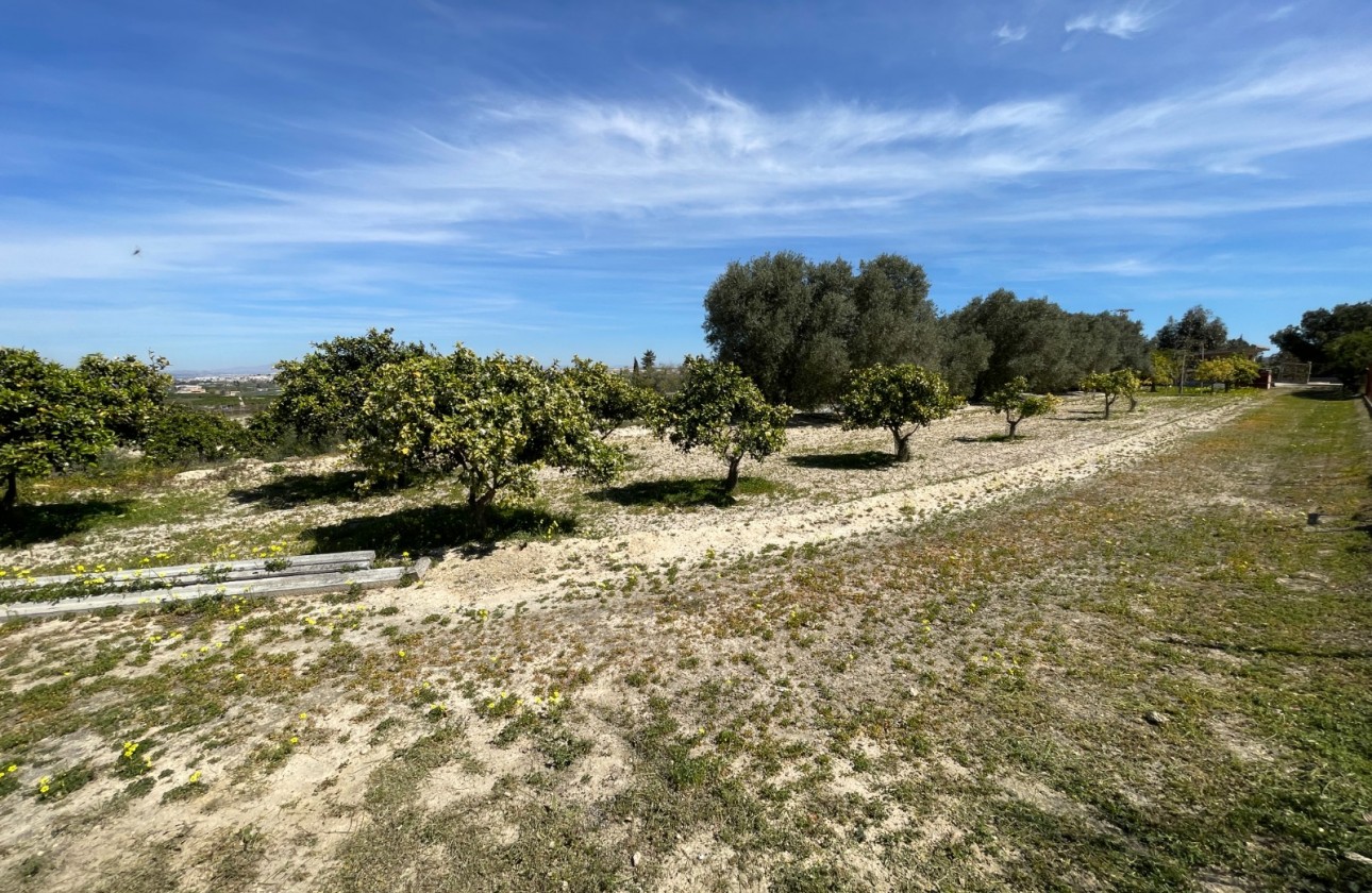 Revente - Villa - Guardamar del Segura - Valencian Community