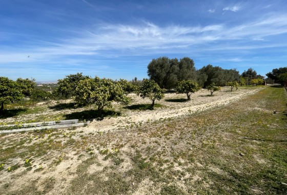Revente - Villa - Guardamar del Segura - Valencian Community