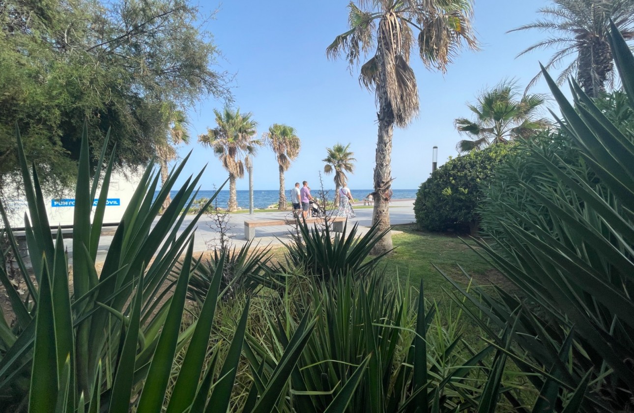 Resale - Commercial - Torrevieia - Comunidad Valenciana