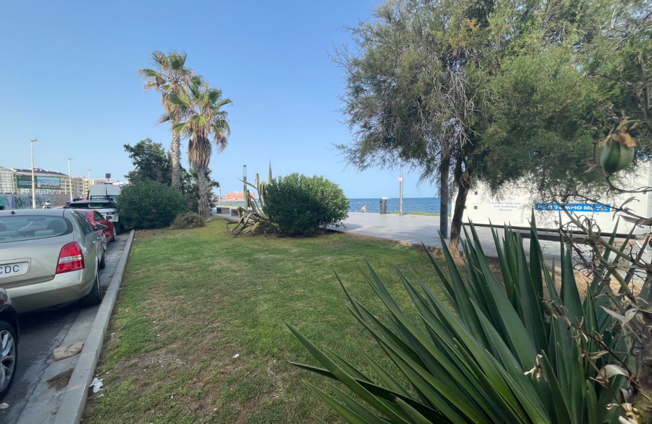 Resale - Commercial - Torrevieia - Comunidad Valenciana